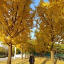 서울M공인중개사사무소 이미지