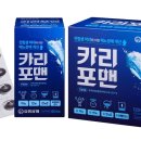 카리 이미지