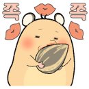 하이밀베이커리 - 제주시 우정로 62 | 하이밀베이커리