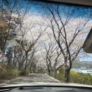 가야산아래 | 3번의 도전 끝에 다녀온 가야산