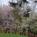 신길공원 화장실 이미지