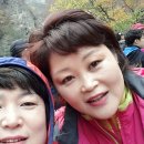 옥계동대산펜션 이미지