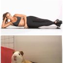 따자하오 이미지