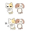 멍구멍구 이미지