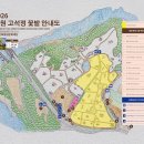 신철원7 1소교량 | [강원도/축제]2026년 5~6월 철원 고석정 꽃밭 유채꽃 지금 가야 하는 이유｜주차·입장료·깡통열차 총정리