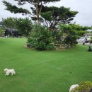 나우리펜션