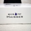 반려동물 애견 미용 이미지