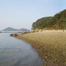 효자도7 이미지