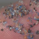 모아세탁박사 이미지