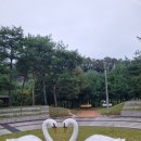 우니메이카 안동점 | 우니메이카안동 캠핑장 사이트소개 | 경북 안동 2박3일 여행