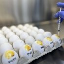 청미천 1 이미지