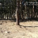 거창전원공인중개사사무소 이미지