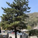 파플레이골프클럽 이미지