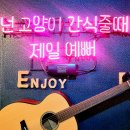 사바나 코쉬카 이미지