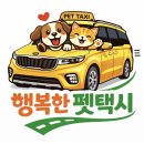 펫이동서비스 | ### 🐾 반려묘 펫 이동 서비스 이용 후기 (코비 이야기)