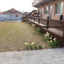 가나안펜션 이미지