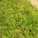 방울목장 이미지