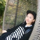 별 정원 이미지