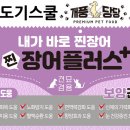개풍당당