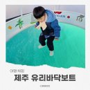 아이유리 | 제주유리바닥보트 아이와 체험 후기｜서귀포가볼만한곳