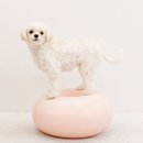 투게더 동물병원 이미지