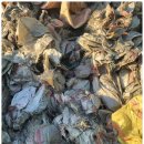 공단수지 이미지