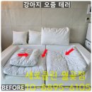 호반베르디움세탁 | 배곧신도시 침대매트리스청소 시흥호반베르디움 쇼파카펫세탁