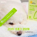기능성머쉬영농조합법인 | 기호성 좋은 강아지 호흡기 영양제 노하브레스 급여 후기
