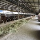 내장농장 이미지