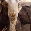 SBS노래연습장 이미지