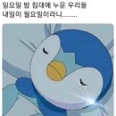 미야옹 이미지