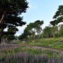 수원-1397 이미지