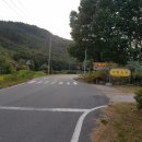 비룡농원 이미지