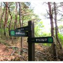 입화산참살이숲 이미지