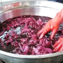 자연의 색 물들이기 이미지