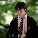 금성칡냉면 이미지