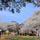 안산공원-2 화장실 이미지