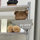 523 | 동탄 호수공원 라크몽 [라올523] 속눈썹펌 재방문! 후기