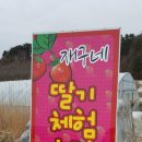 재구농장 이미지