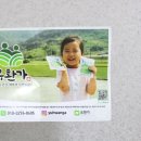 내장산 산약초마을영농조합법인 | 유환양배추즙) 비리지 않아 먹기 편한 100% 양배추즙 좋아!