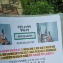 은하수청구 | 케이트의 뉴욕영어 은하수 청구아파트 게시판 홍보후기