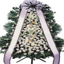 봉암동303 이미지