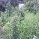 동혜농장 이미지