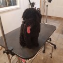 예뻐지개 이미지