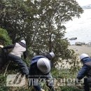 제주 일출봉 해안 일제동굴진지 이미지