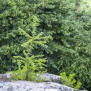 마애불화장실 이미지