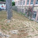 순창여자중학교 이미지