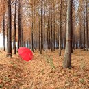 주남목장 이미지