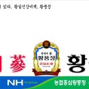 농협홍삼황풍정
