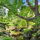 자이언트짐 3호점 | 2025년 4월 28일 ~ 2025년 5월 4일